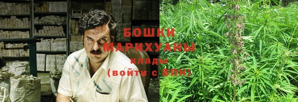 дурь Козловка